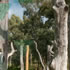 Living Kaurna Cultural Centre | Open