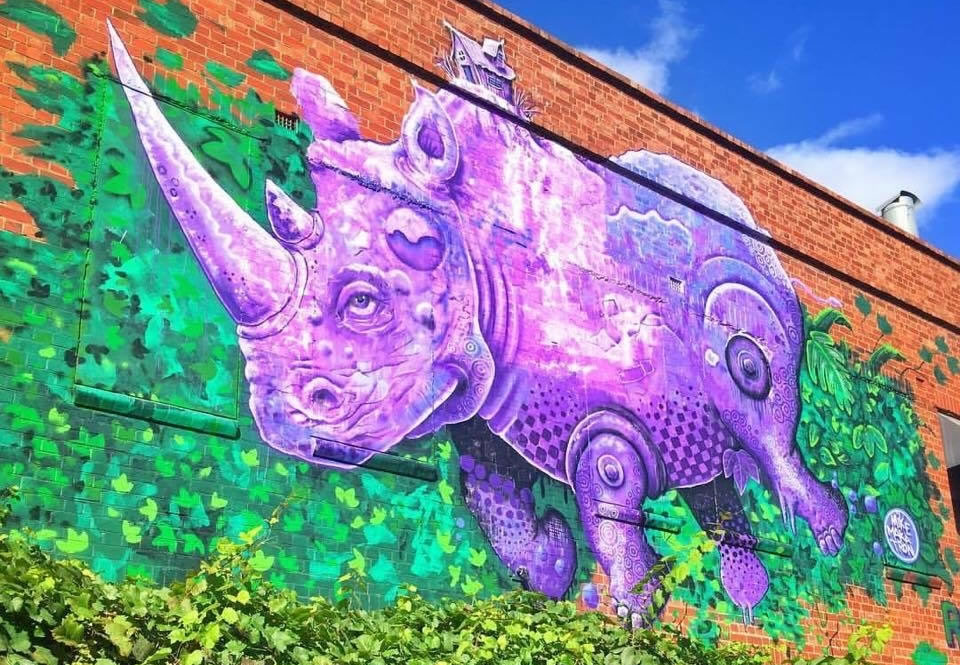 Rhino Room