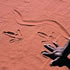 Alice Springs | Wikipedia