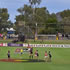 TIO Traeger Park - Alice Aprings