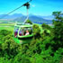 Skyrail Rainforest Cableway