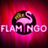 Pink Flamingo Spiegelclub - Gold Coast
