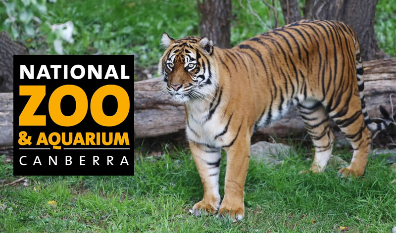 National Zoo & Aquarium