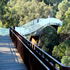 Lotterywest Federation Walkway | Kings Park