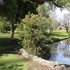 Stirk Park - Kalamunda