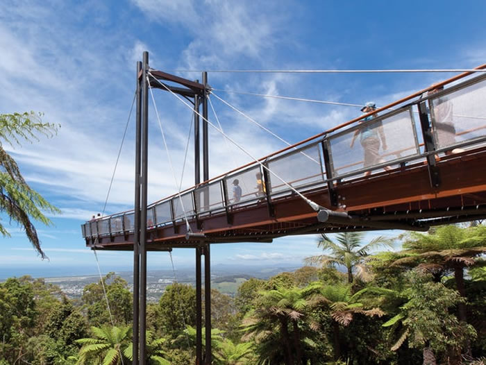 Forest Sky Pier | Sealy Lookout