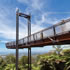 Forest Sky Pier | Sealy Lookout