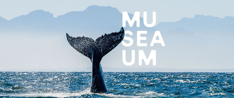 Australian National Maritime Museum | Open Hours & Tickets