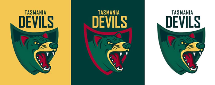 Tasmania Devils Football Club