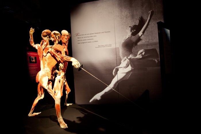 Body Worlds: The Anatomy of Happiness