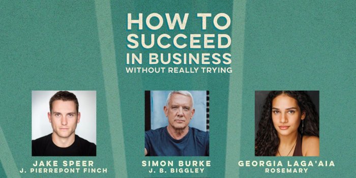 How to Succeed in Business Without Really Trying