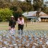 Sculptures in the Garden - Mudgee