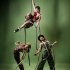 National Institute of Circus Arts: Behind the Veil